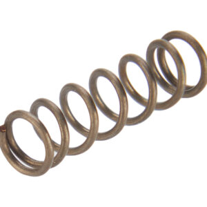 NDZ Glock Gen 5 Slide Lock Lever Spring 39567
