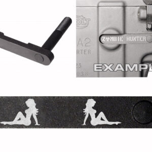 NDZ AR-15 SW 15-22 Black Magazine Catch Trucker Lady